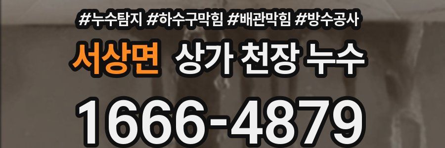 서상면 상가 천장 누수