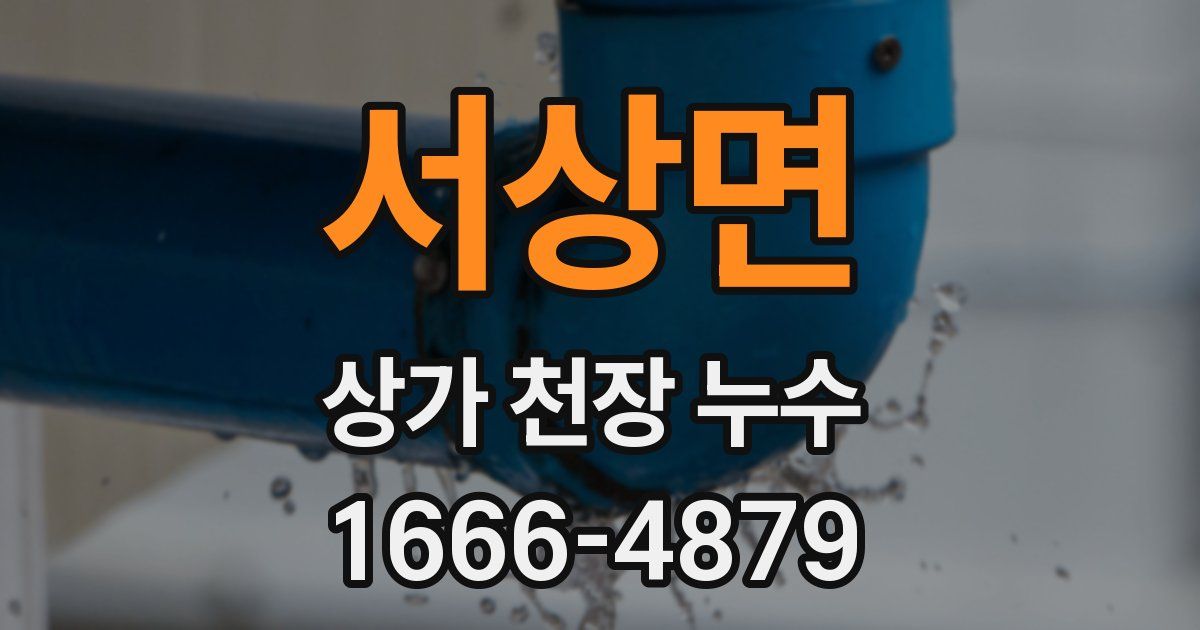 서상면 상가 천장 누수