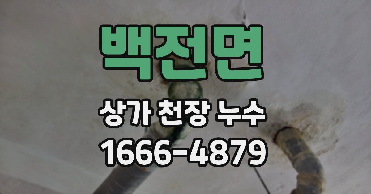 백전면 상가 천장 누수