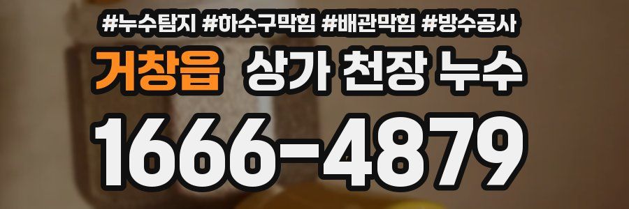 거창읍 상가 천장 누수