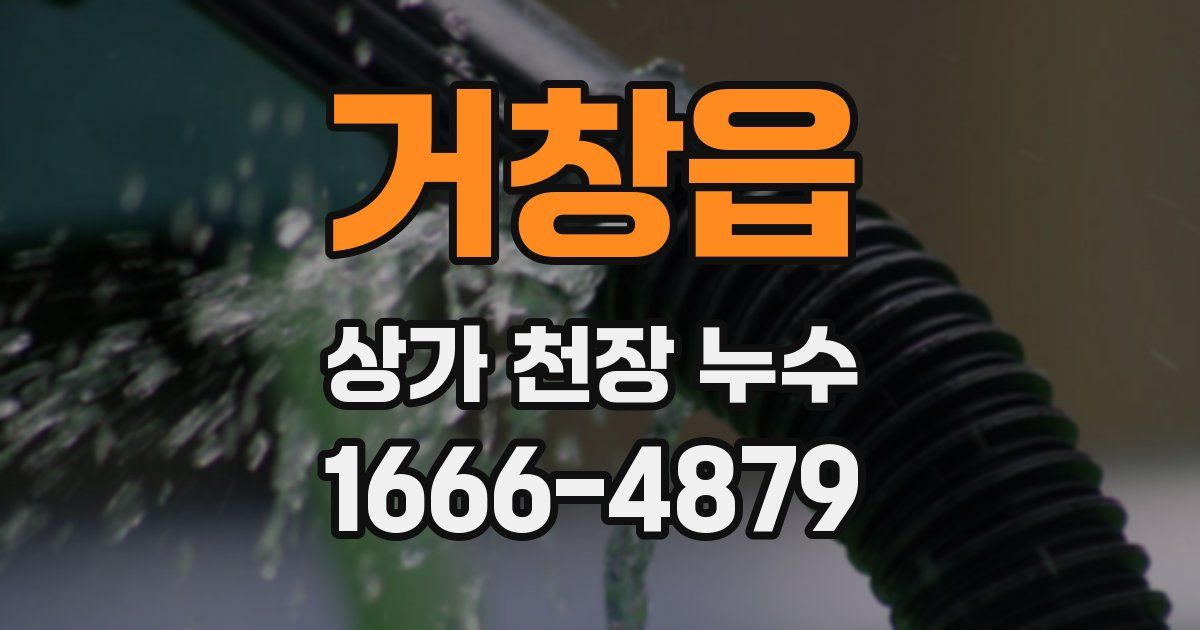 거창읍 상가 천장 누수