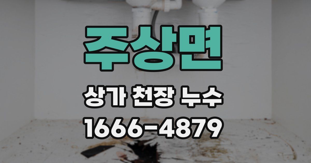 주상면 상가 천장 누수