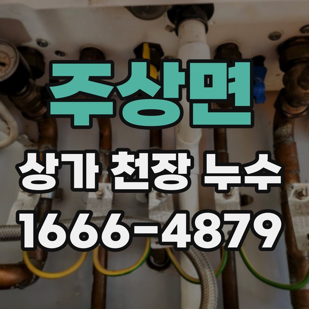 주상면 상가 천장 누수