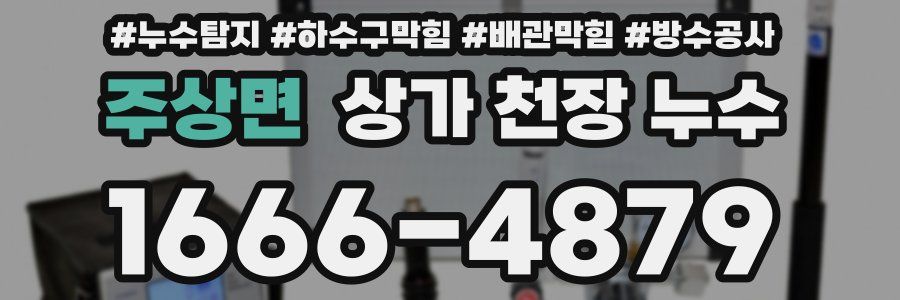 주상면 상가 천장 누수