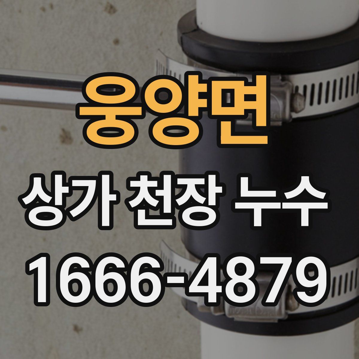 웅양면 상가 천장 누수