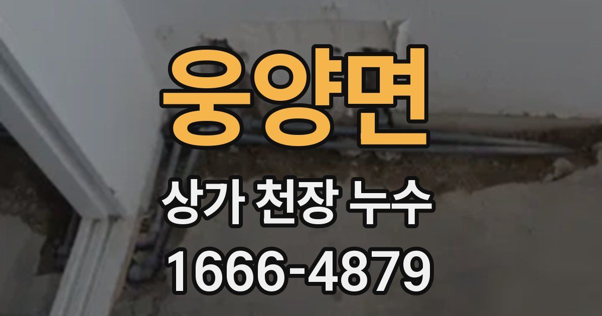웅양면 상가 천장 누수