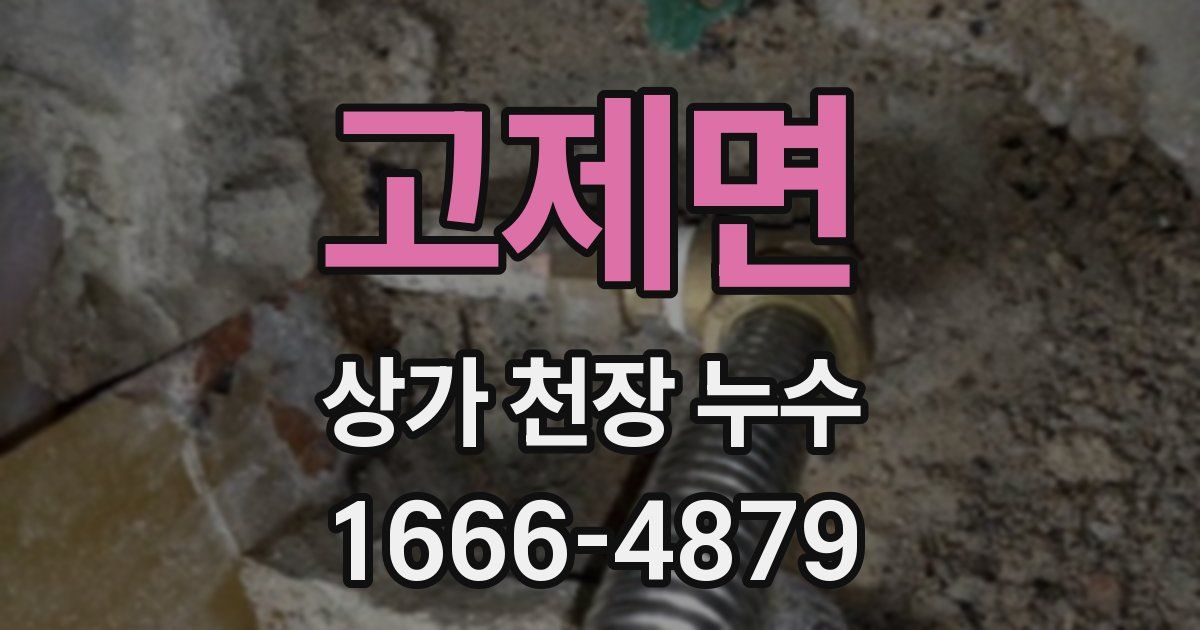 고제면 상가 천장 누수
