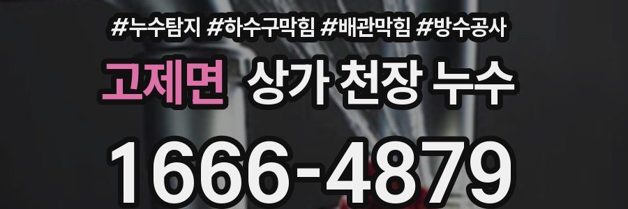 고제면 상가 천장 누수