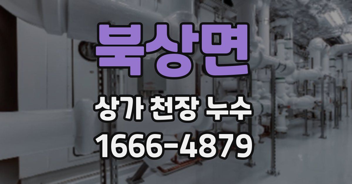 북상면 상가 천장 누수