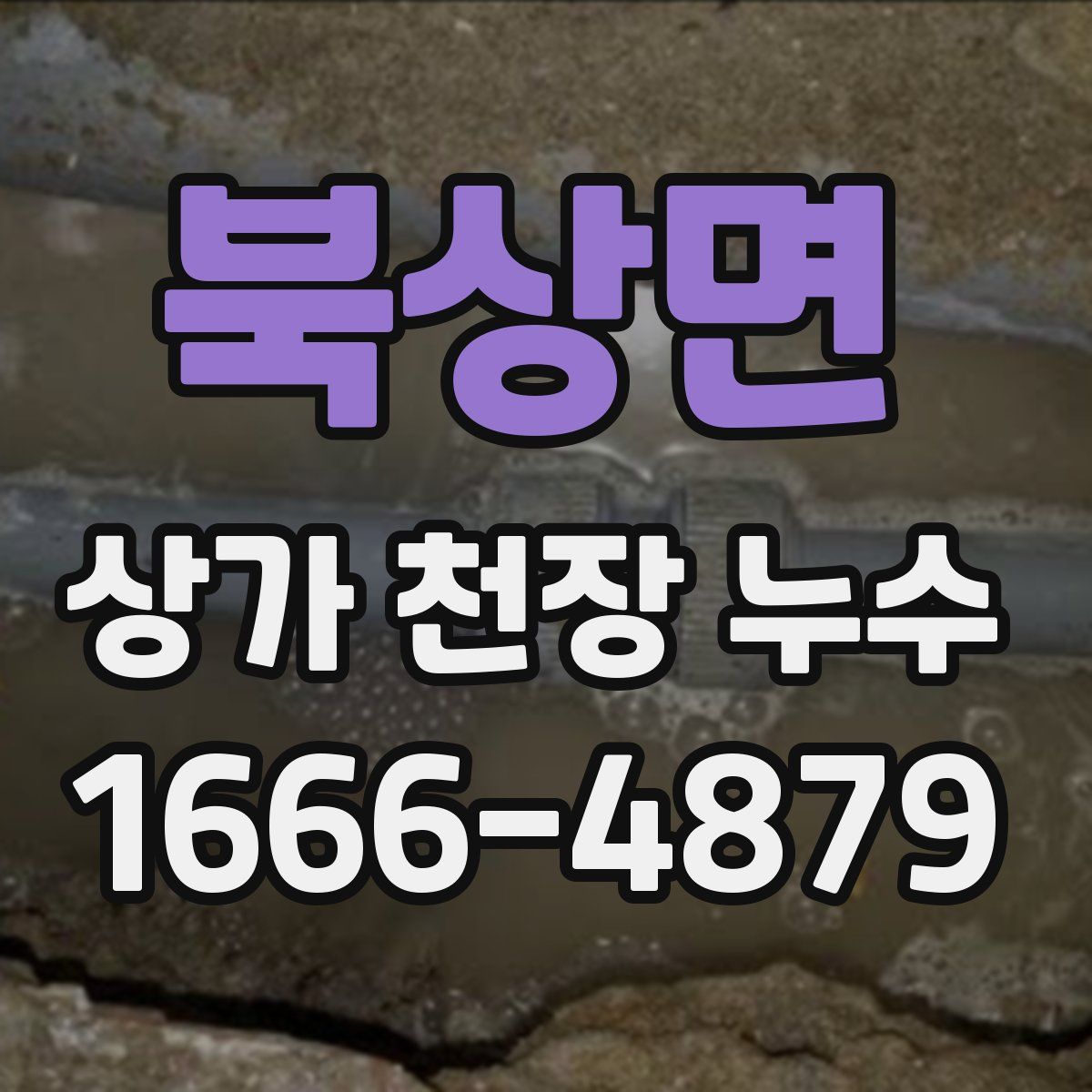 북상면 상가 천장 누수