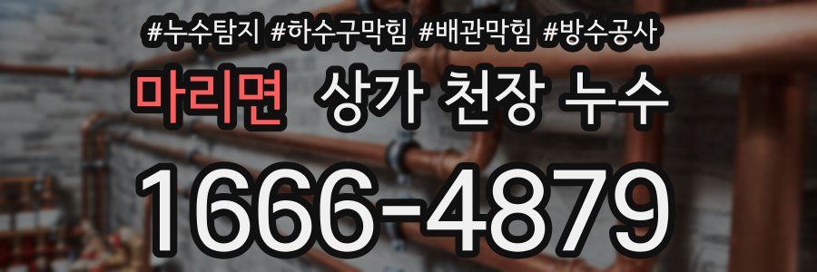 마리면 상가 천장 누수