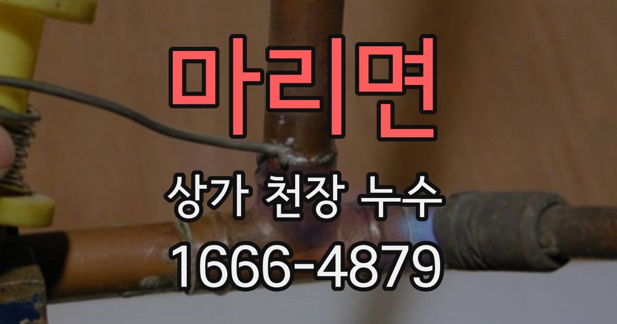 마리면 상가 천장 누수