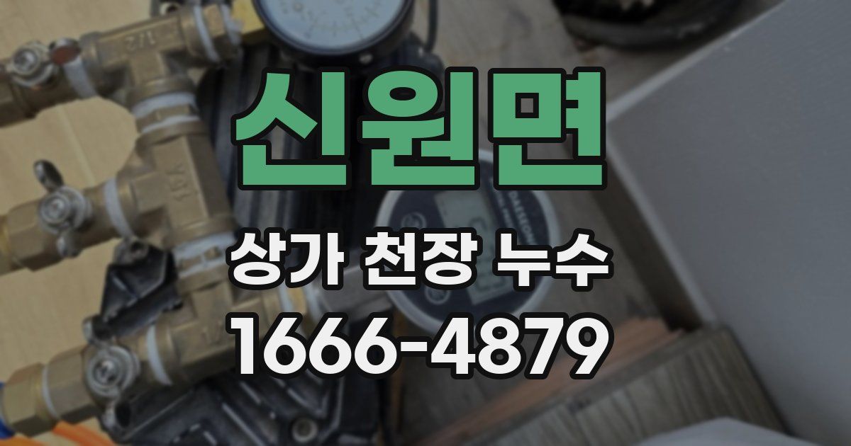 신원면 상가 천장 누수