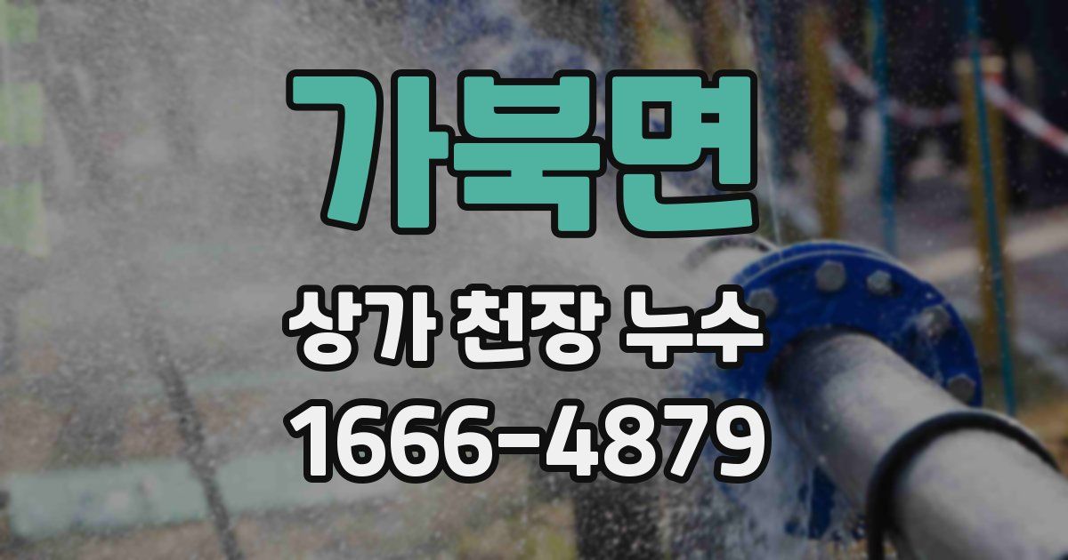 가북면 상가 천장 누수