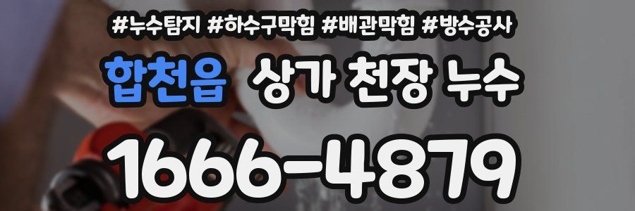 합천읍 상가 천장 누수