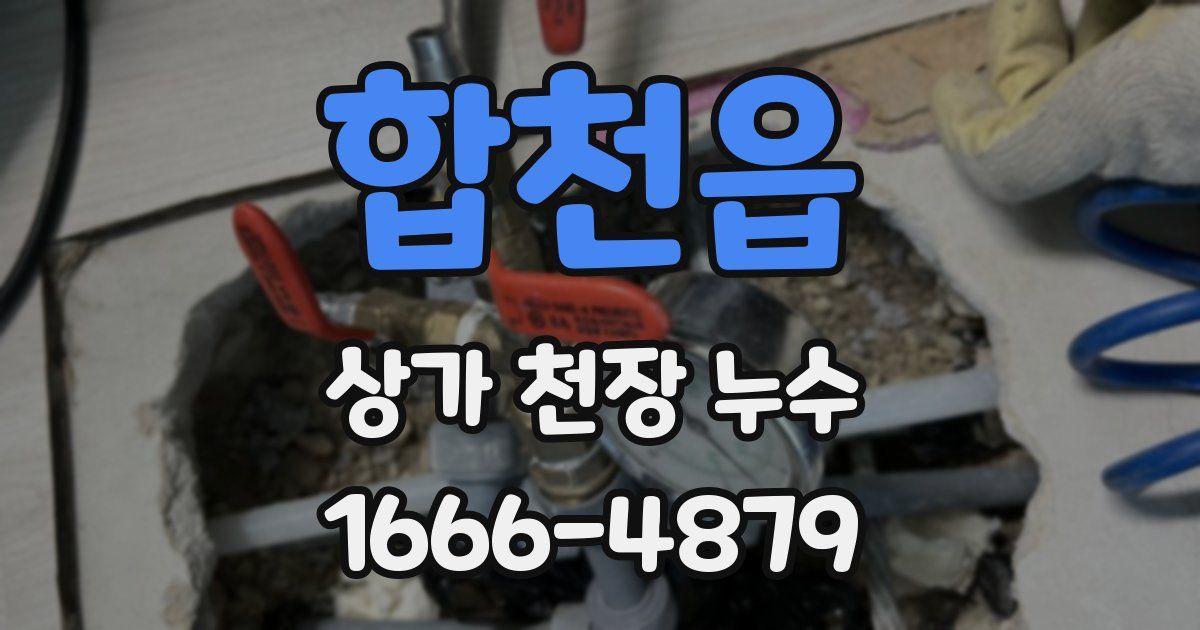 합천읍 상가 천장 누수