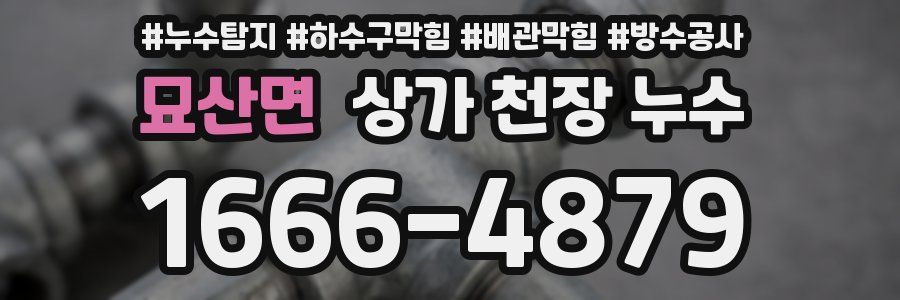 묘산면 상가 천장 누수