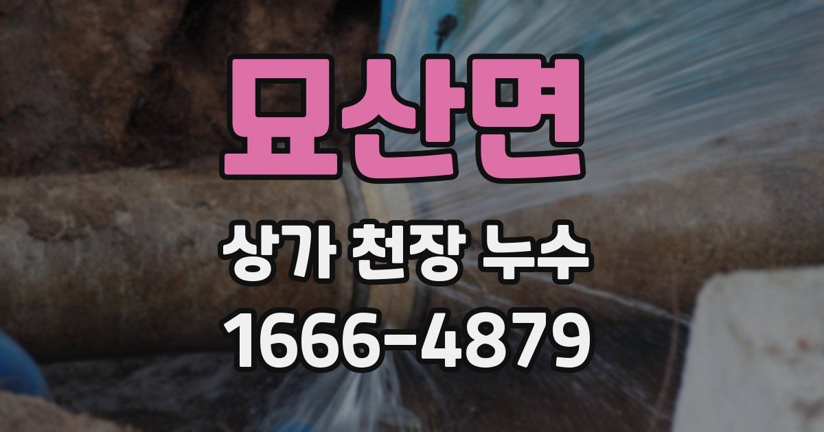 묘산면 상가 천장 누수