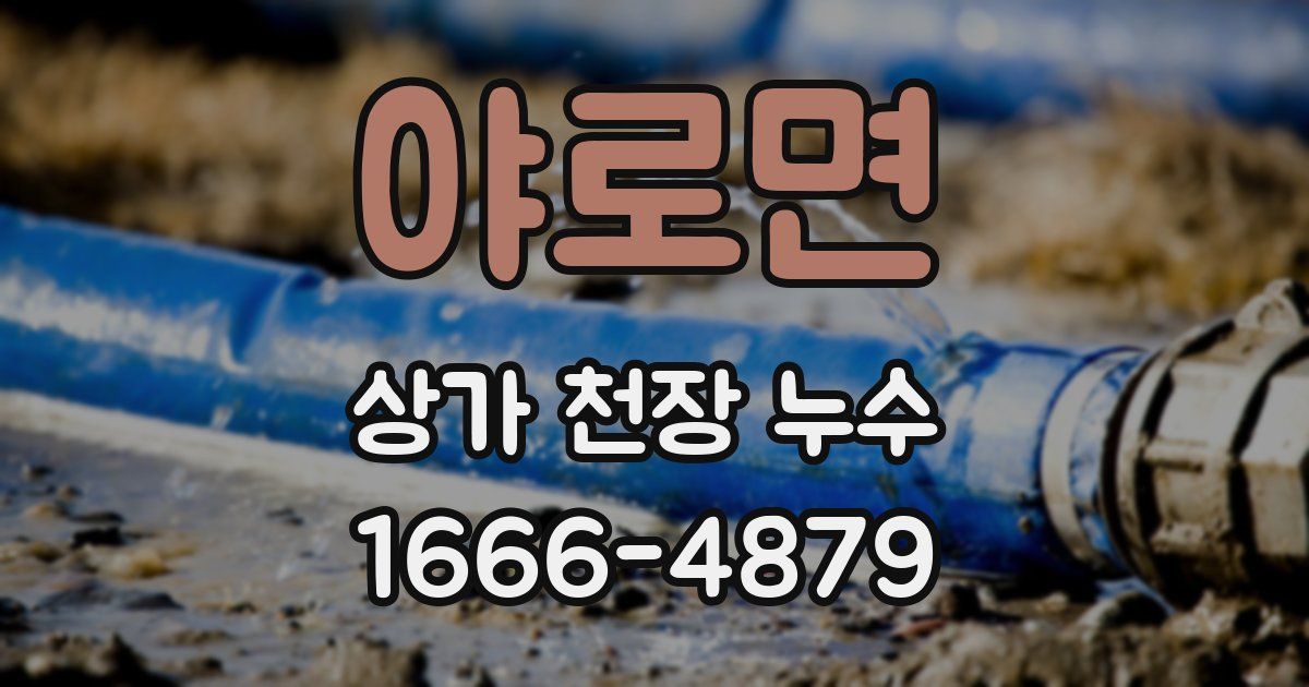야로면 상가 천장 누수