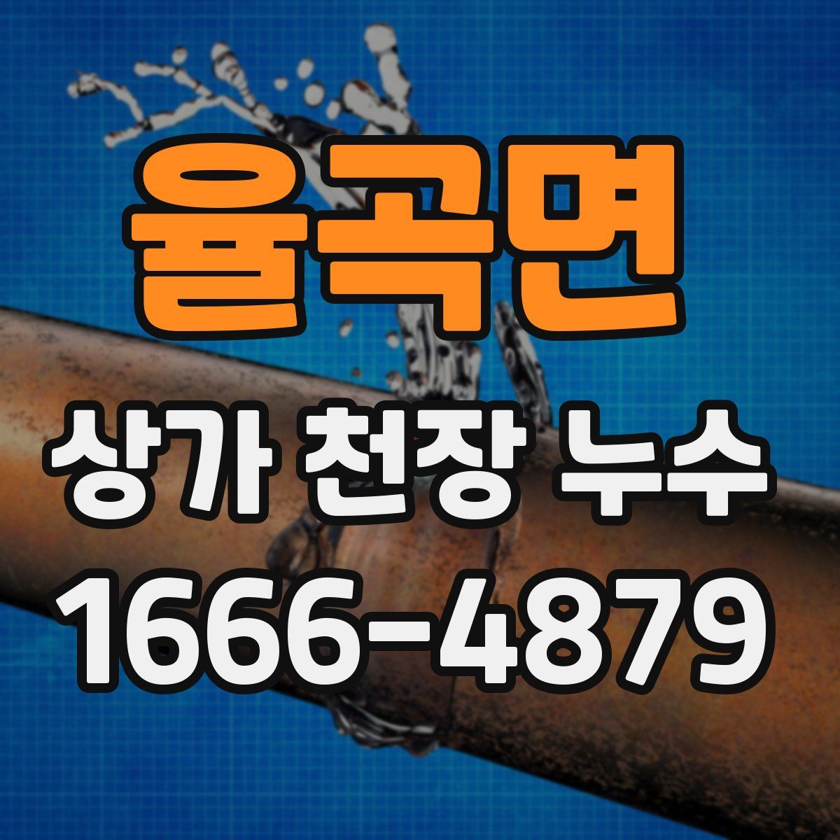 율곡면 상가 천장 누수