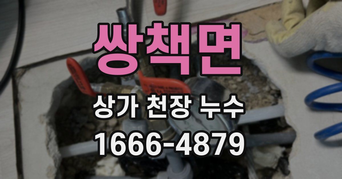 쌍책면 상가 천장 누수