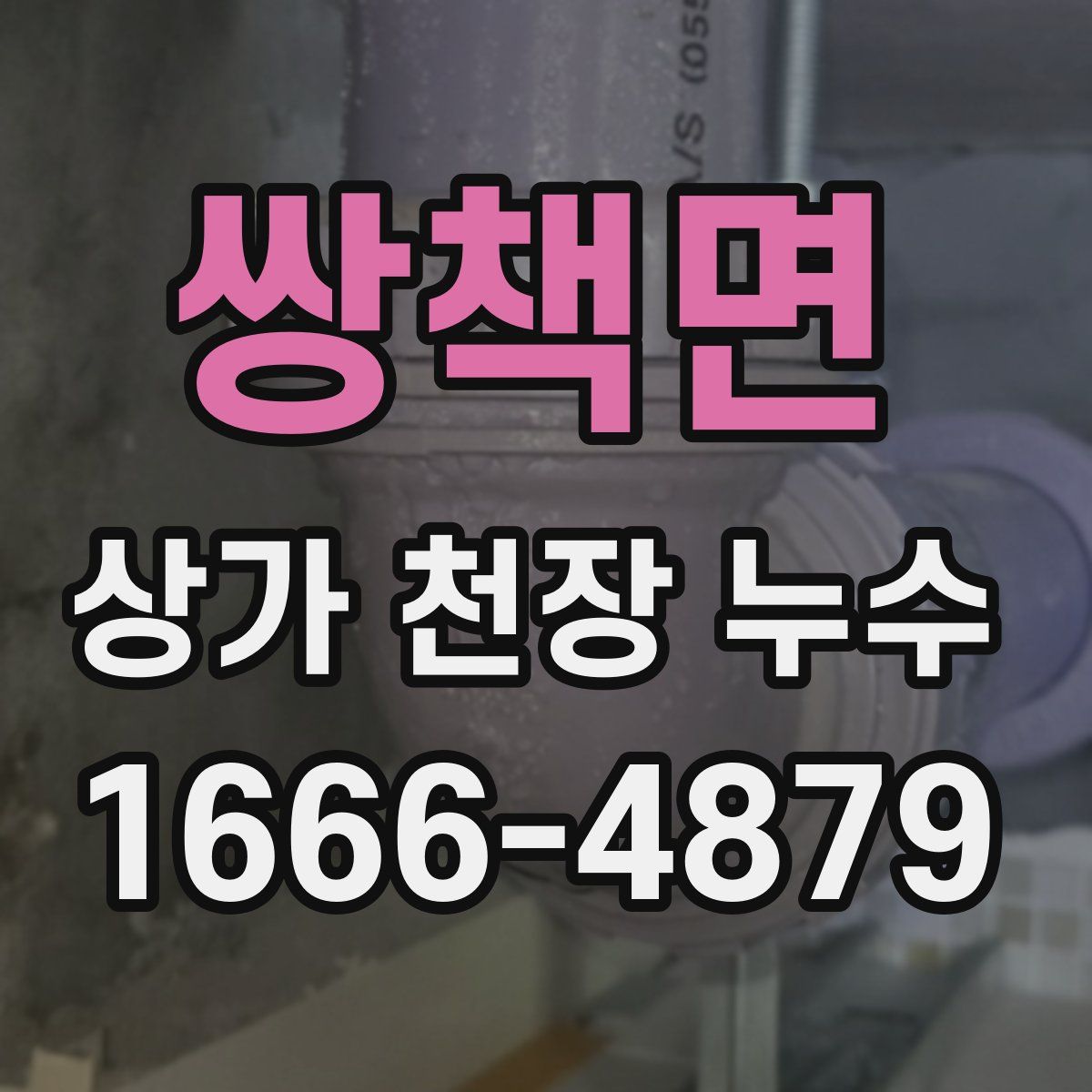 쌍책면 상가 천장 누수