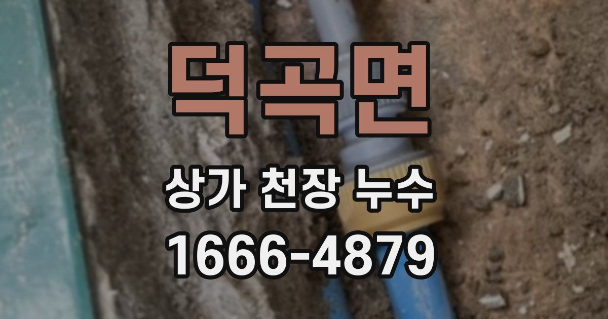 덕곡면 상가 천장 누수