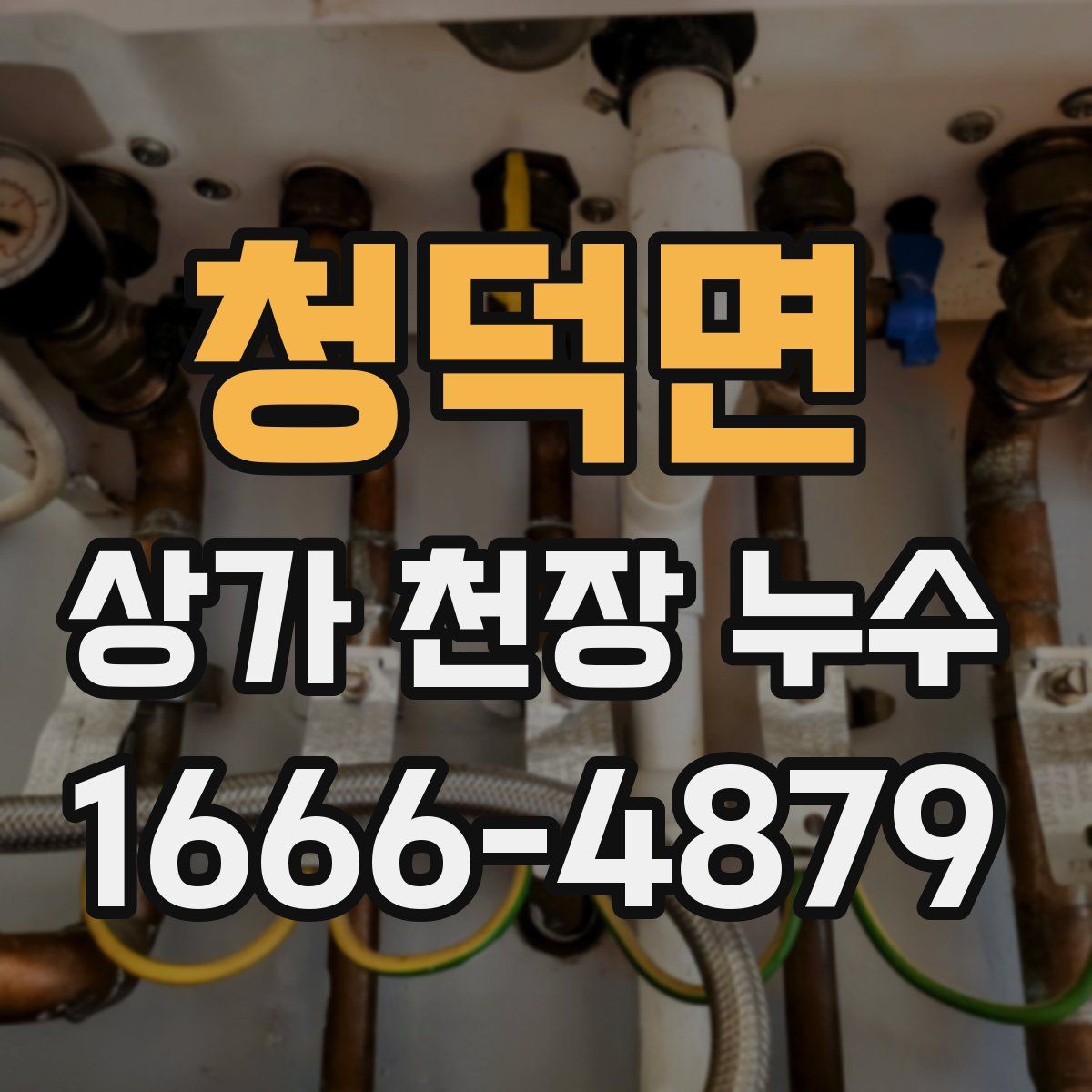 청덕면 상가 천장 누수