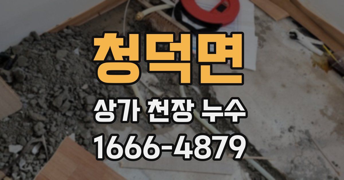 청덕면 상가 천장 누수