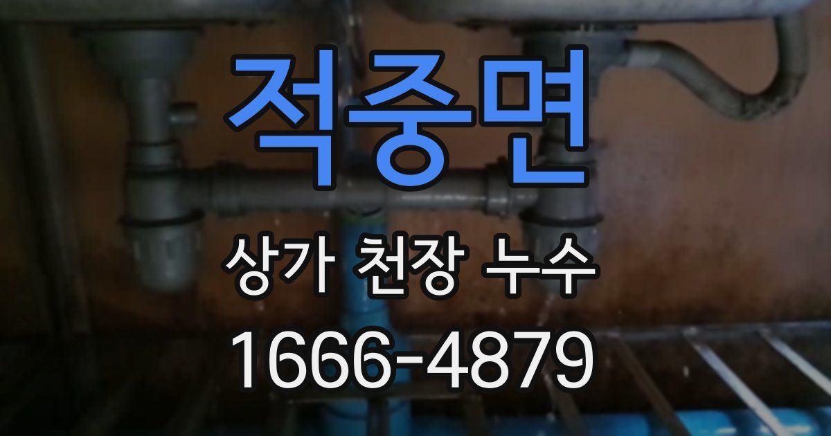 적중면 상가 천장 누수