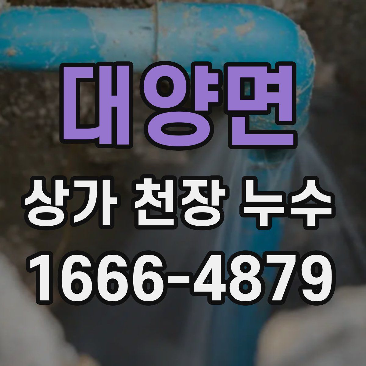 대양면 상가 천장 누수