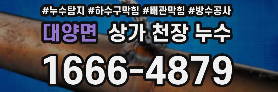 대양면 상가 천장 누수
