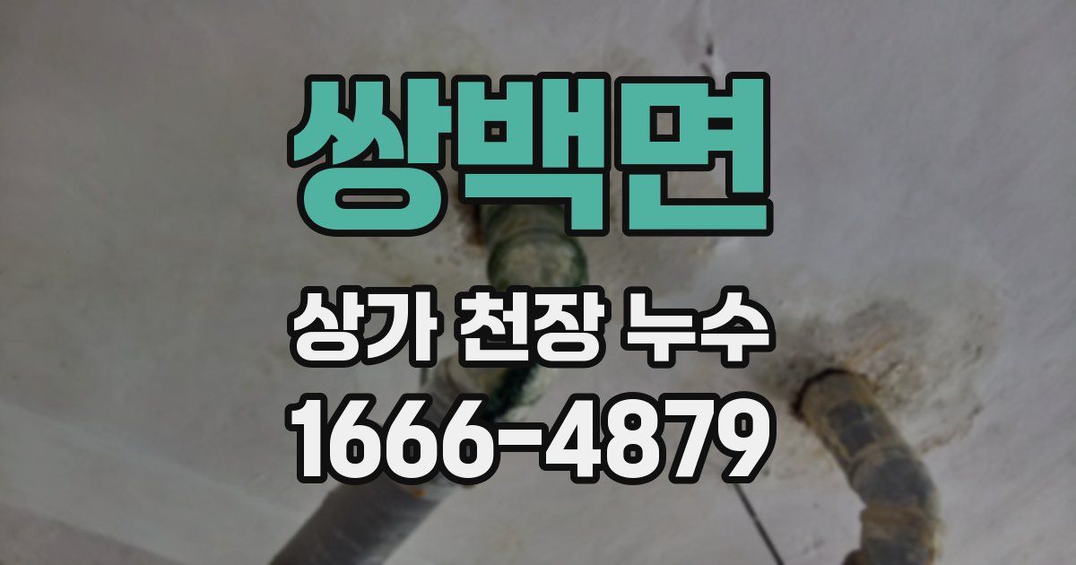 쌍백면 상가 천장 누수