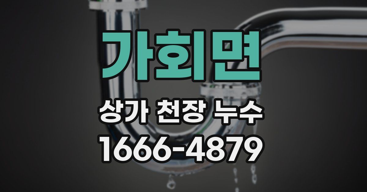 가회면 상가 천장 누수
