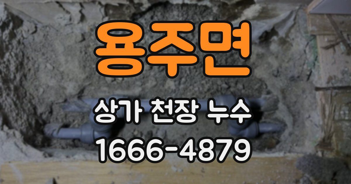 용주면 상가 천장 누수