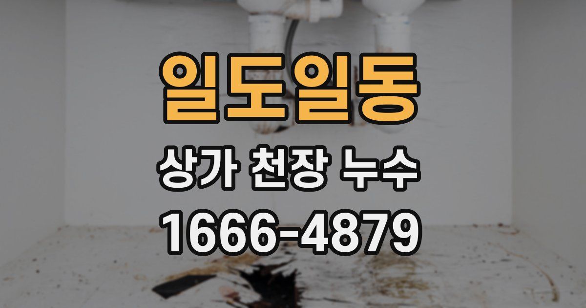 일도일동 상가 천장 누수
