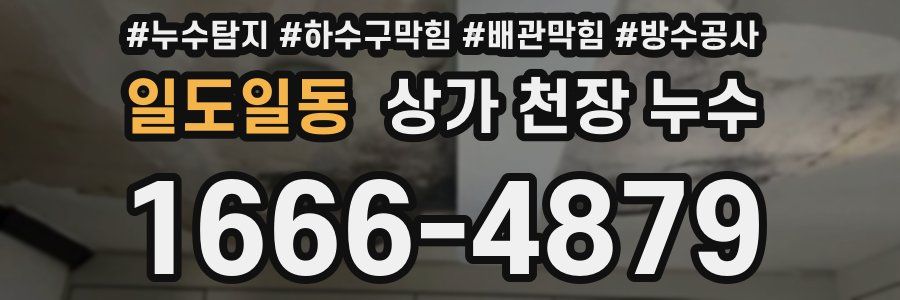 일도일동 상가 천장 누수