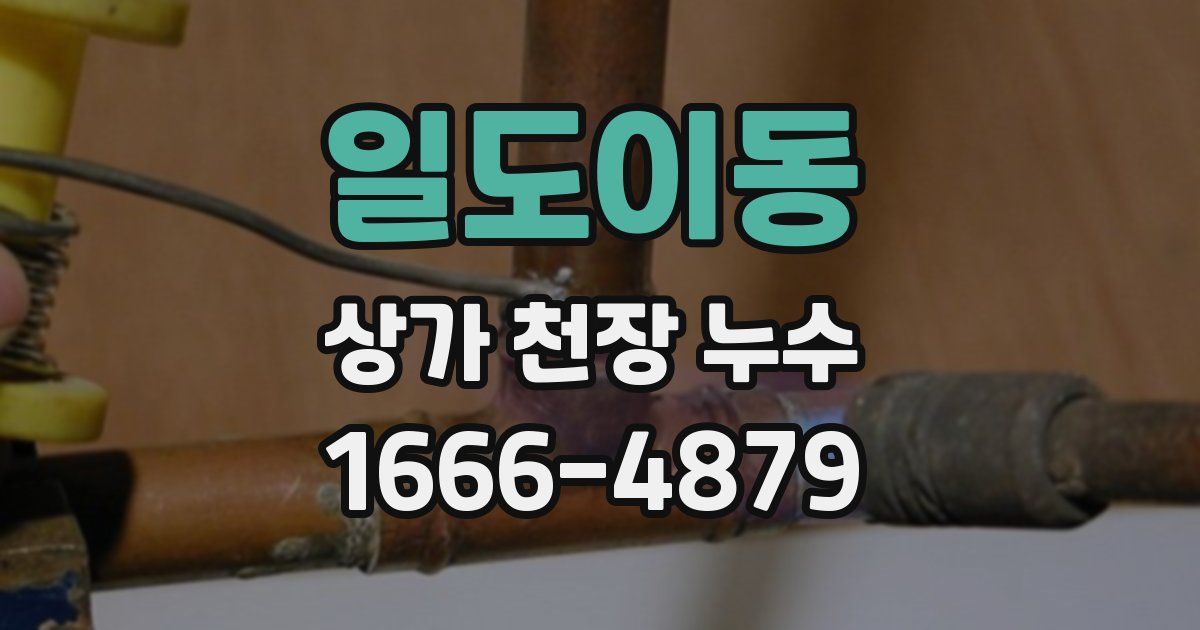 일도이동 상가 천장 누수