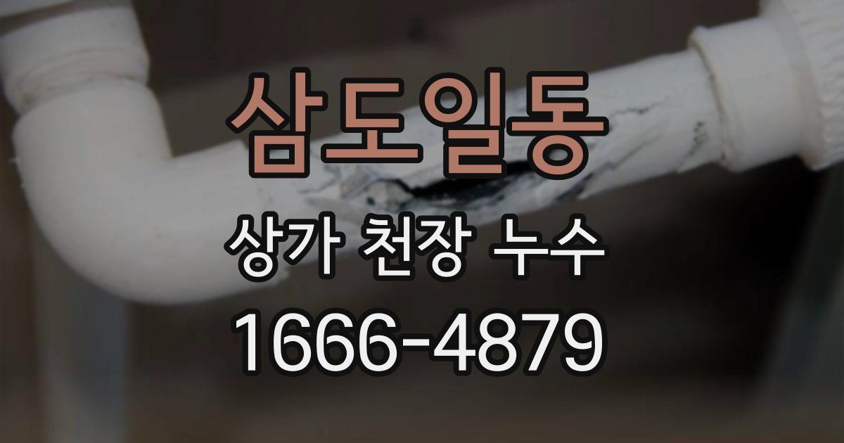삼도일동 상가 천장 누수