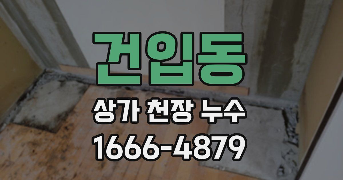 건입동 상가 천장 누수
