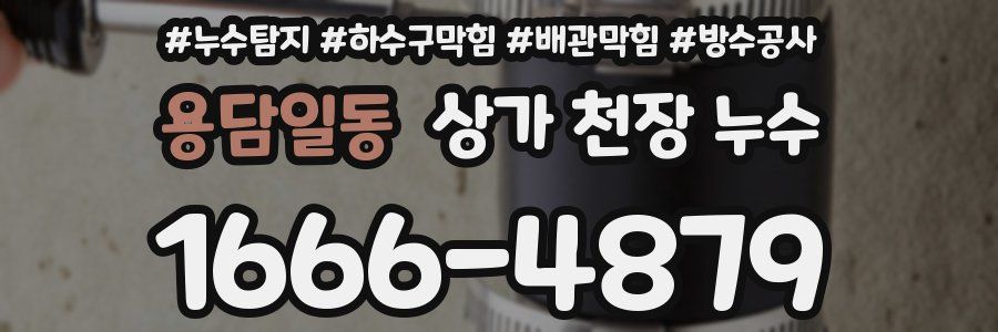 용담일동 상가 천장 누수