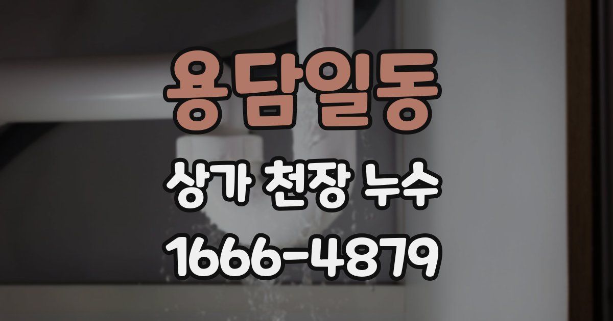 용담일동 상가 천장 누수