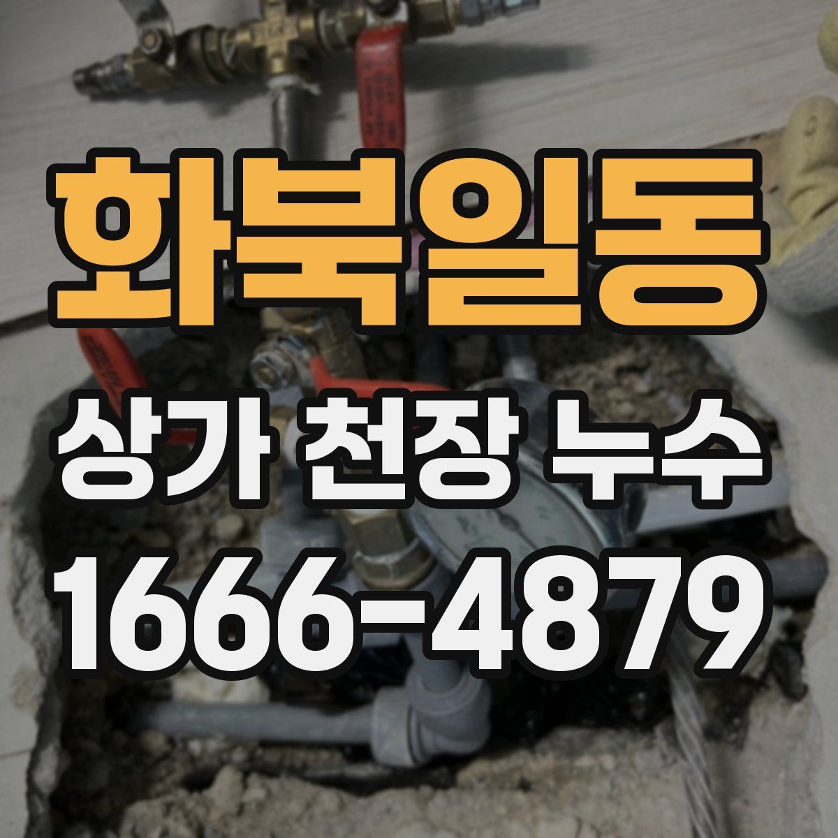 화북일동 상가 천장 누수