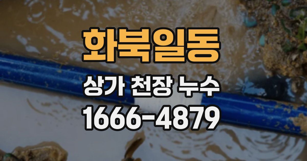화북일동 상가 천장 누수
