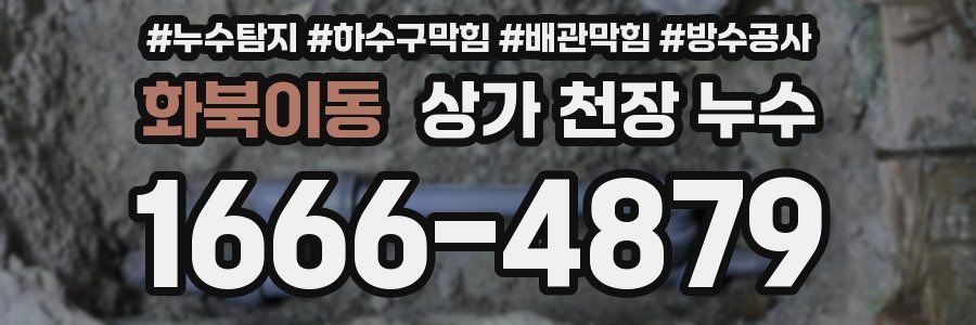 화북이동 상가 천장 누수