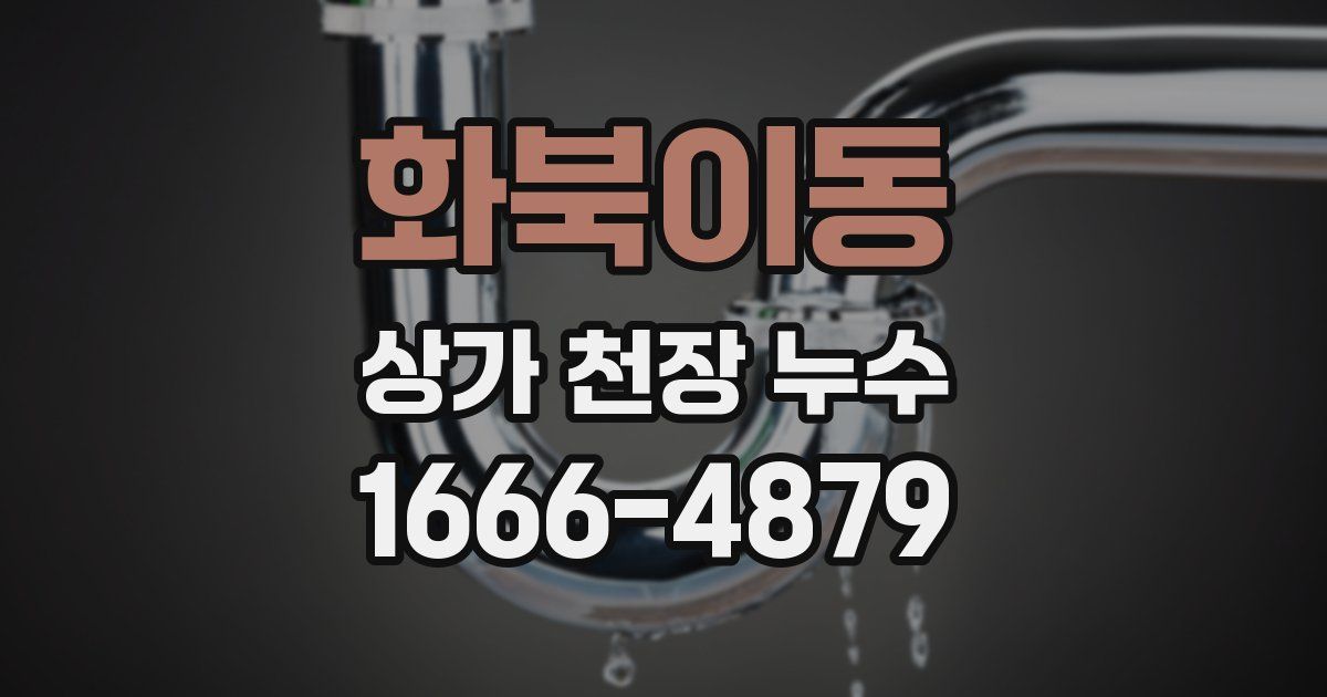 화북이동 상가 천장 누수