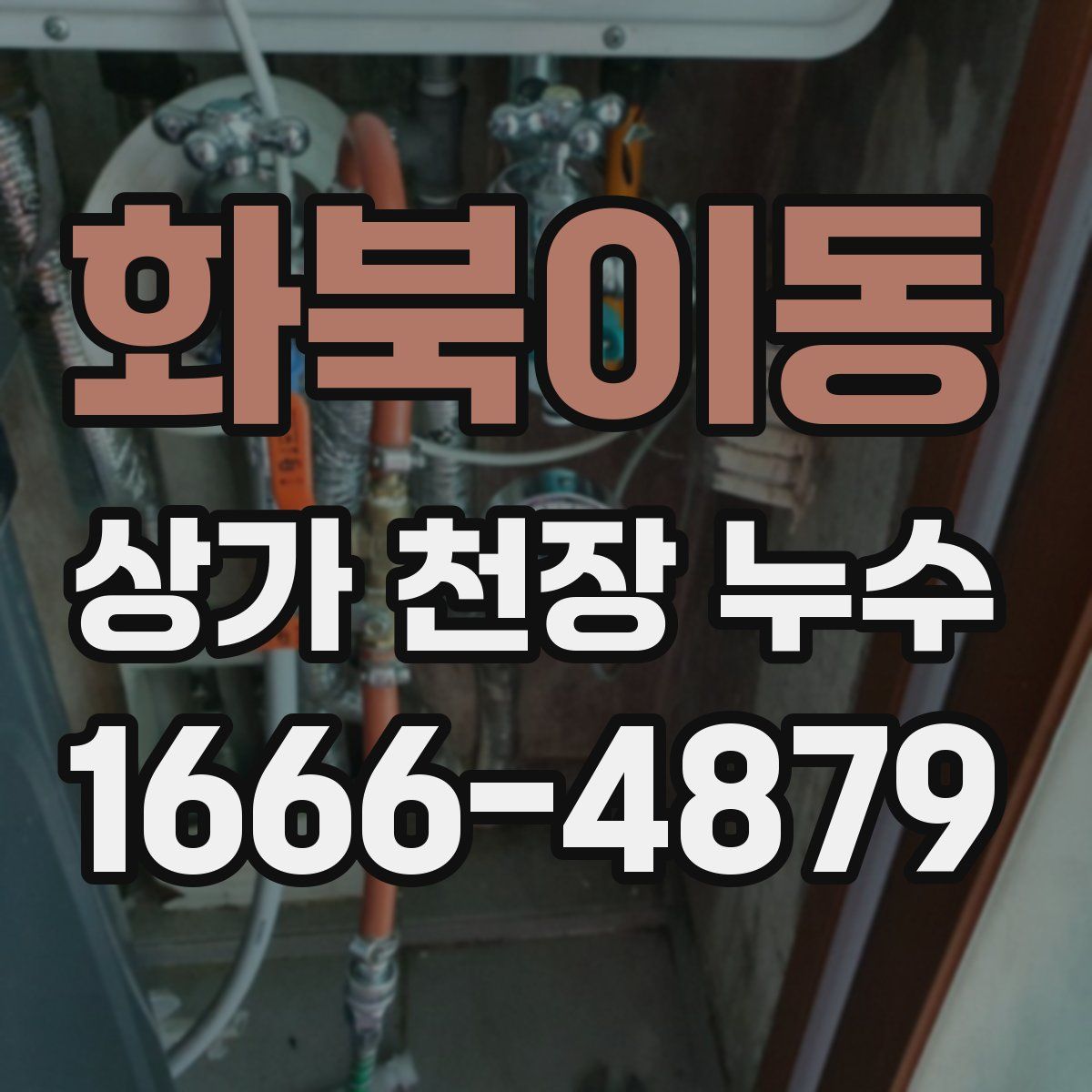 화북이동 상가 천장 누수