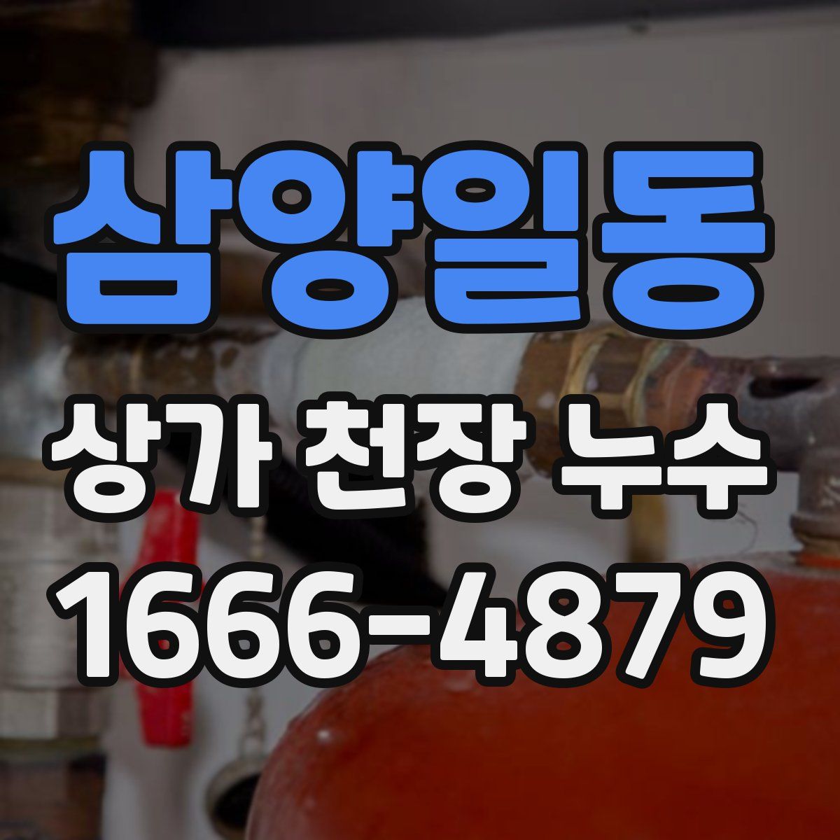 삼양일동 상가 천장 누수