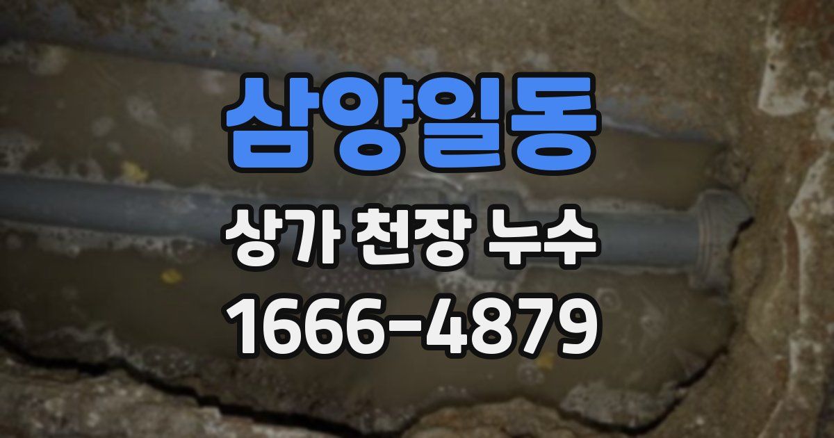 삼양일동 상가 천장 누수