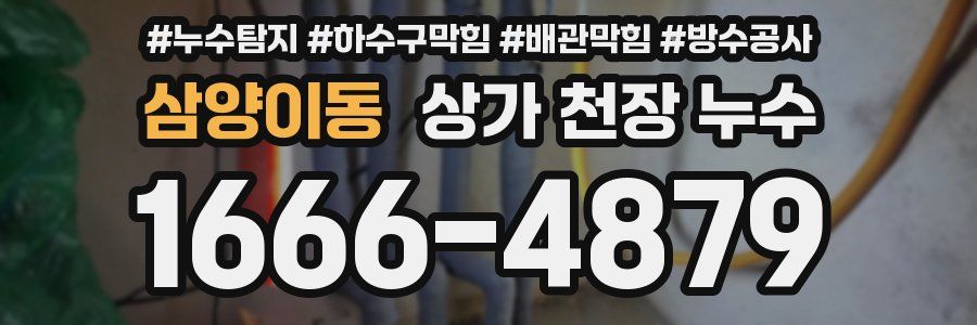 삼양이동 상가 천장 누수